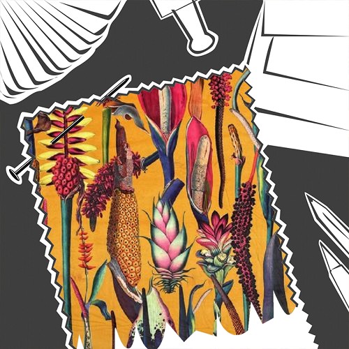 Eden Velvets Tropical Borneo Sunburst by Chatham Glyn - Fabric By The Metre - BORNSUNB