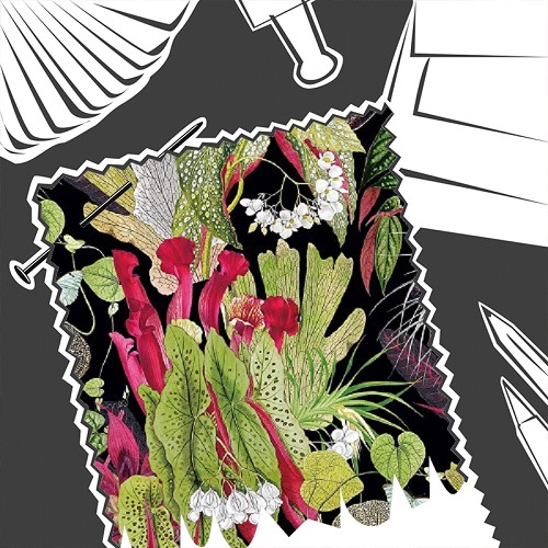 Tropical Tasmania Ebony by Chatham Glyn - Fabric By The Metre - TASMEBON