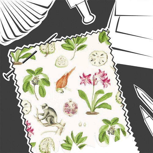 Capuchins Multi by Sanderson - Fabric By The Metre - DLUM226944